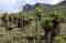 Keňa, zájezd, treking – Výstup na Koitobos Peak 4 222 m